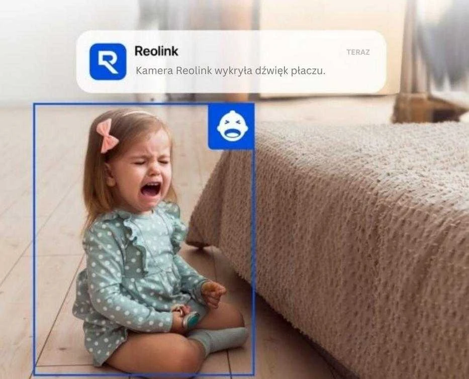 Reolink E Series E321
