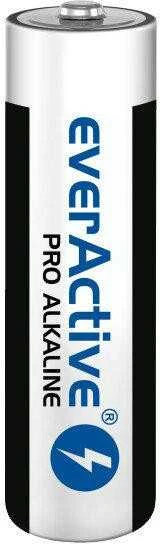 everActive AA šarminė baterija