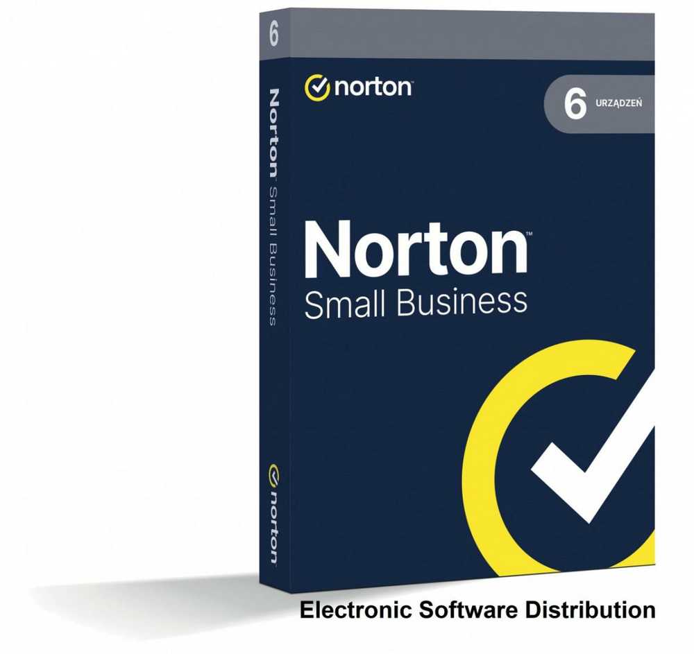 Symantec NORTON SMALL BUSINESS 2.0 250GB PL 6D12M ESD diskas