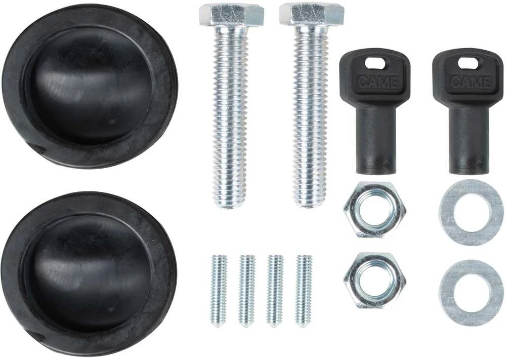 CAME BXV 10 PLUS TOP rinkinys 1000kg slenkamiems vartams (8K01MS-043)