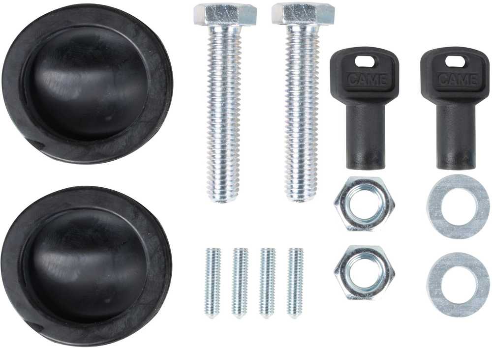 Rinkinys CAME BXV 4 PLUS TOP stumdomiems vartams (8K01MS-041)