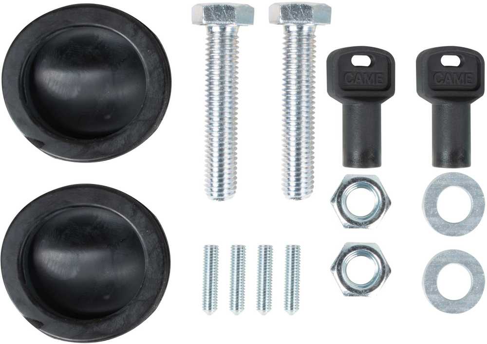 Rinkinys CAME BXV 4 PLUS TOP stumdomiems vartams (8K01MS-041)
