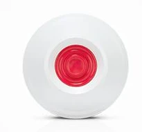 UŽPUOLIMO MYGTUKAS PB-10 SATEL