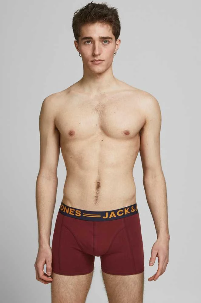Bokserio šortai Jack &amp;amp; Jones