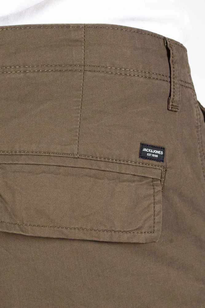Įvairūs šortai Jack &amp;amp; Jones