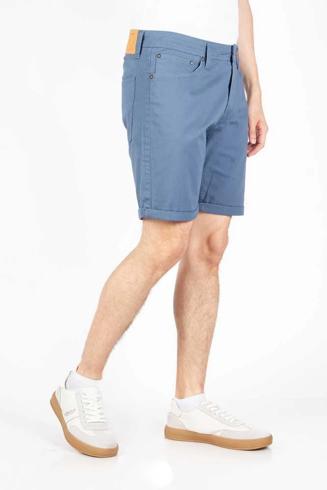 Įvairūs šortai Jack &amp;amp; Jones