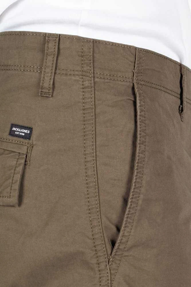Įvairūs šortai Jack &amp;amp; Jones