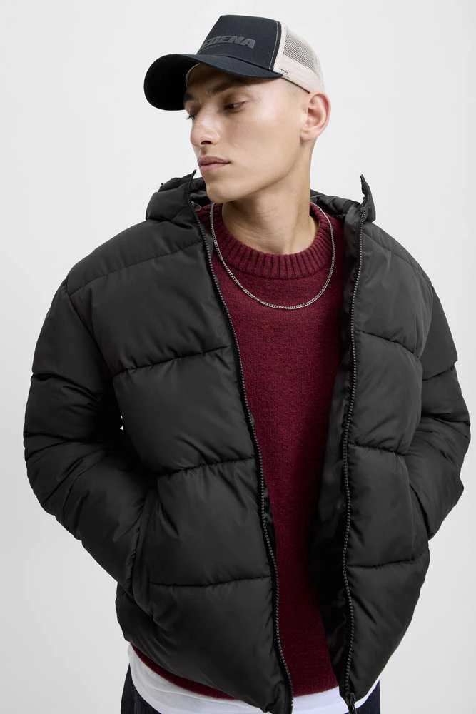 Žieminė striukė Jack &amp;amp; Jones