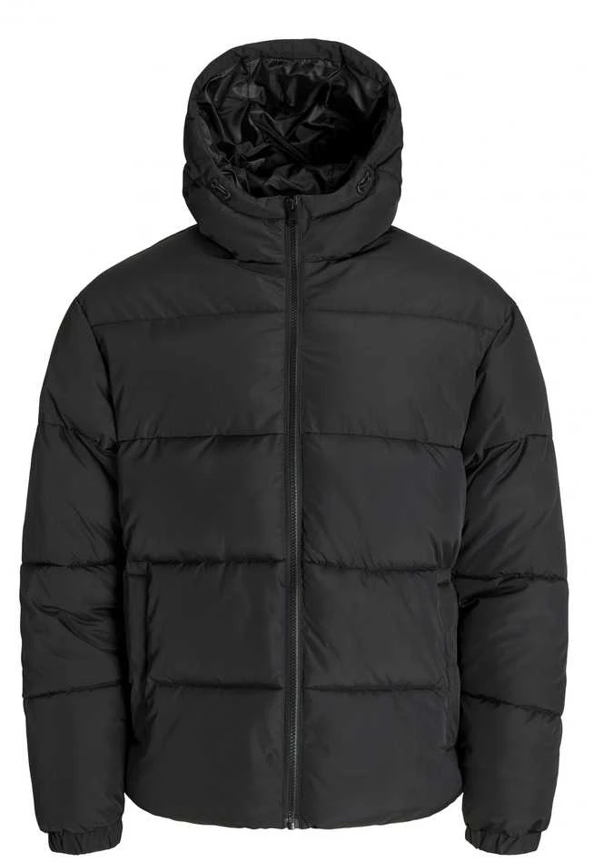 Žieminė striukė Jack &amp;amp; Jones