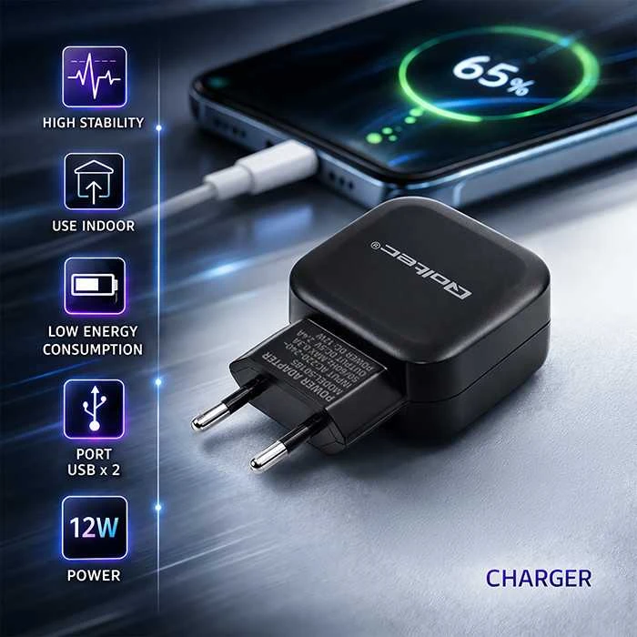 QOLTEC 50185 kintamosios srovės adapteris 12W 5V 2,4A 2xUSB