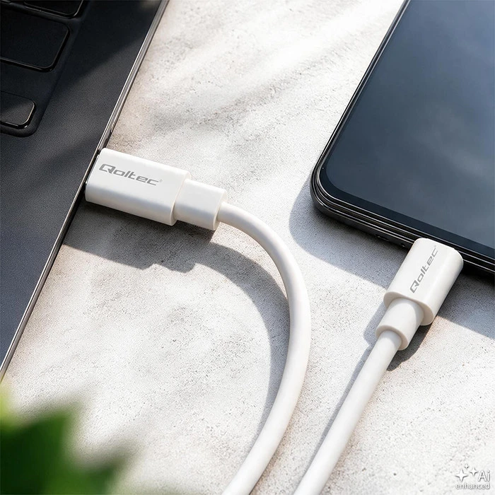QOLTEC 52346 USB 2.0 kabelis C tipo kištukas USB 2.0 C tipo kištukas 2m Baltas