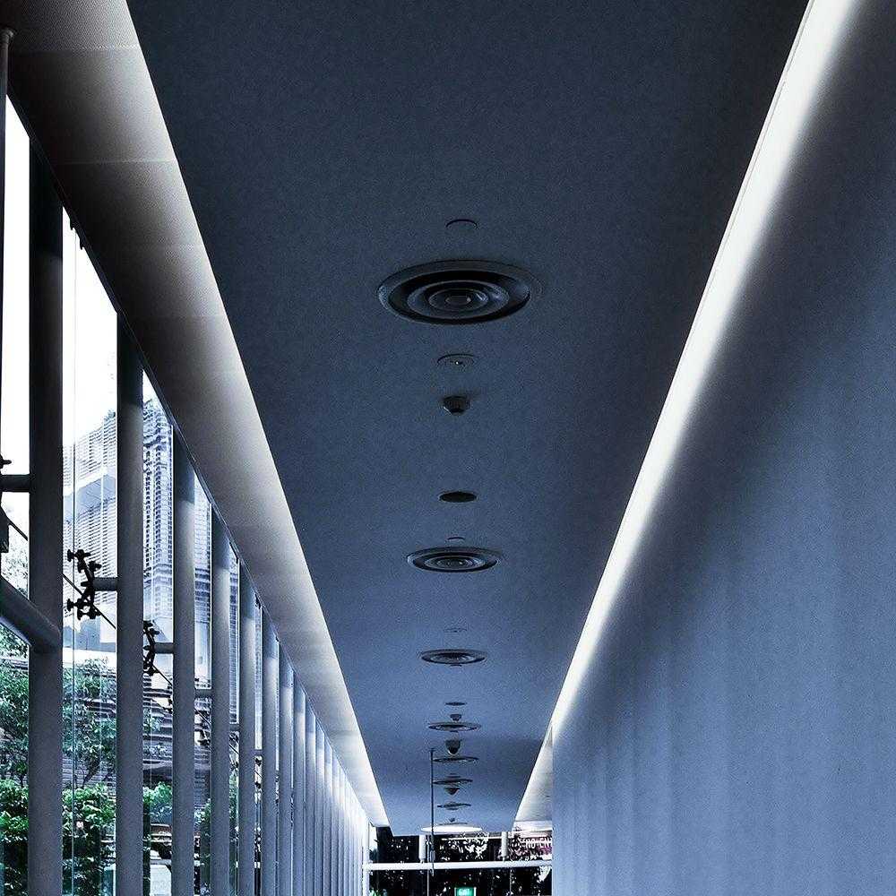 8W/m LED juosta, 6500K, 120 LED/m, 24V, IP20, 20m ritė