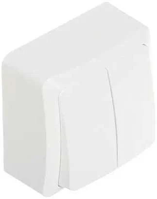 DVIGUBAS APŠVIESTAS JUNGIKLIS BERG/3711-00/EPN 250 V 10 A Elektro-Plast
