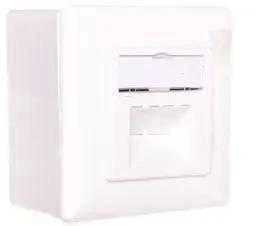 Assmann Electronic DIGITUS modulinis sieninis lizdas 2xRJ45 baltas Cat6 pilnai ekranuotas paviršinis montavimas RAL 9010