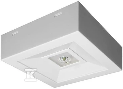 Avarinis LED šviestuvas AWEX LOVATO N ECO baltas