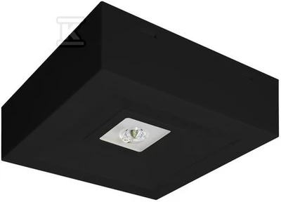 AWEX avarinis šviestuvas LOVATO N ECO LED 3W 315lm (opt. atviras) 1h vienos paskirties juodas LVNO/3W/ESE/X/BL - LVNO/3W/ESE/X/BL