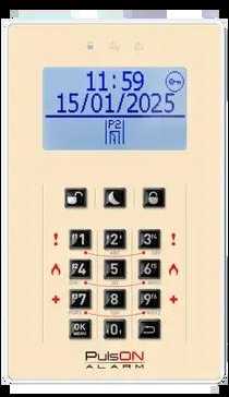 BCS PULSON FRONT LCD/C BEI