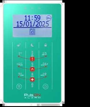 BCS PULSON FRONT LCD/S TUR