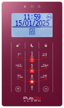 BCS PULSON FRONT LCD/S BUR