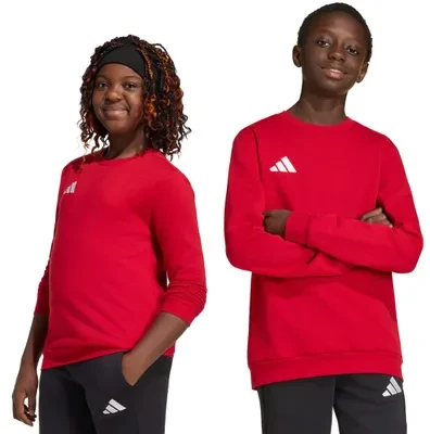Adidas JZ6556_520 sportinis megztinis arba džemperis su gobtuvu