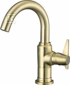 Praustuvo maišytuvas Deante Temisto BQT_M20M, Brass