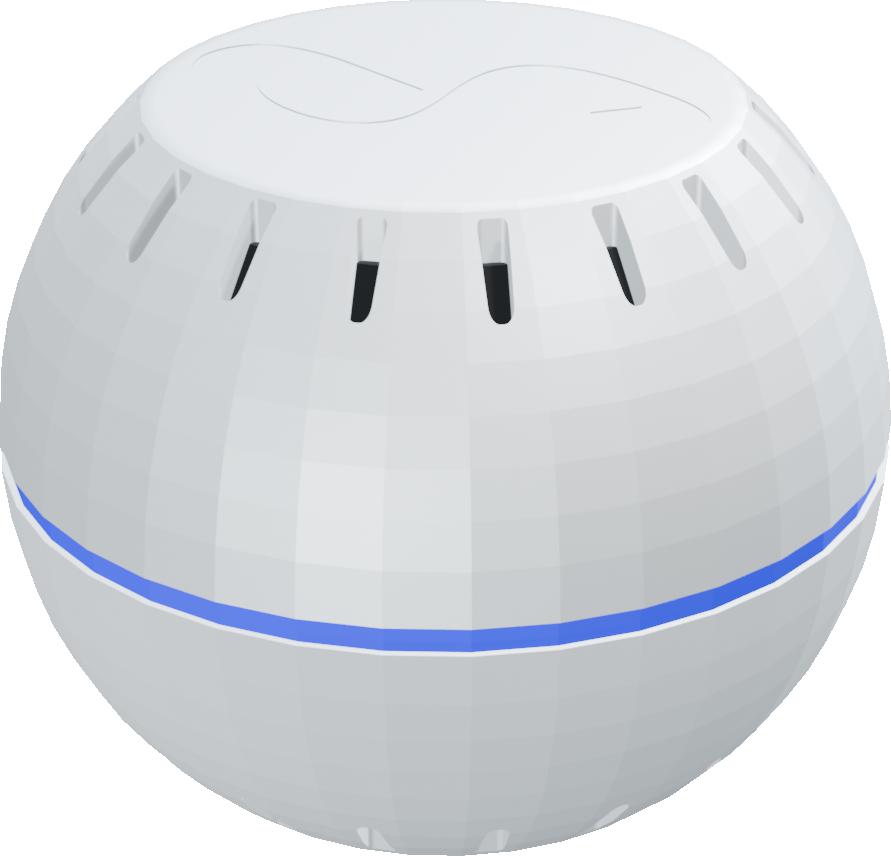 shelly-wave-ht-2025
