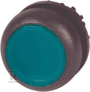 Eaton Žalios spalvos mygtuko diskas su apšvietimu M22S-DL-G (216928)