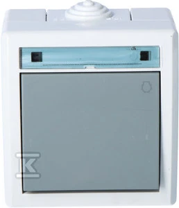 Elektro Plast Nasielsk LIGHT JUNGTIS N/T IP55 AQUANT BALL