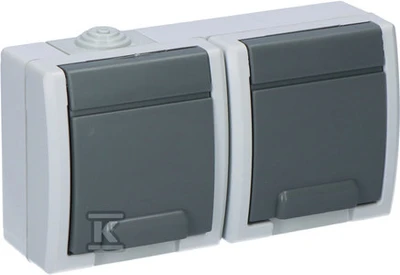 Elektro Plast Nasielsk GN.2X2P+Z N/T IP55 Pilkas AQUANT
