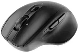 Gembird MUSW2-6B-02 Dual-mode belaidė pelė (2.4G + BT), 2400 DPI, 6-button, juodas