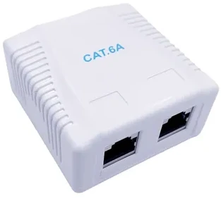 GEMBIRD CAT6A FTP 2 prievadų paviršiaus montavimo dėžutė