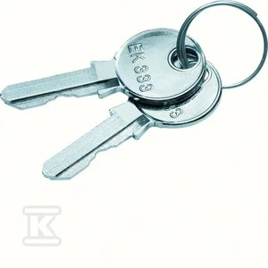 Hager Atsarginis raktas nuo spynų FZ531N+FZ533N 1333 IP44/IP54 Univers FZ539