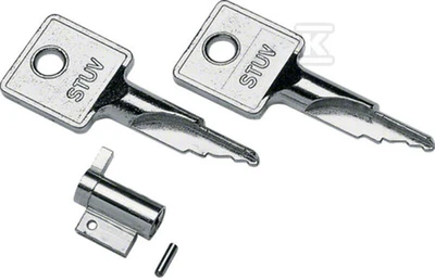 Hager Lock skirtas Vector II skirstomiesiems skydams su 2 raktais VZ311