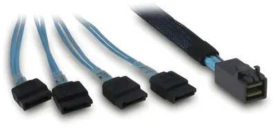 ITT Inter-Tech SFF-8643 – 4x SATA/SAS 0,7 m 12 Gbit/s Mėlyna