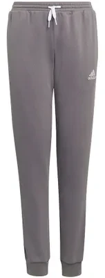 Kelnės vaikams adidas Entrada 22 Sweat Pants pilka H57519 (140cm)