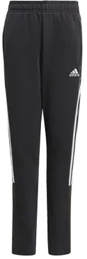 Adidas Tiro21 Sweat Jr GM7332 kelnės