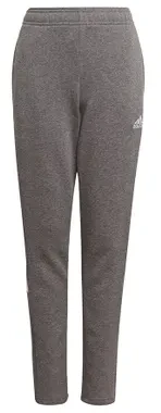 Kelnės adidas Tiro 21 Sweat Jr GP8809 (Feature-128cm)
