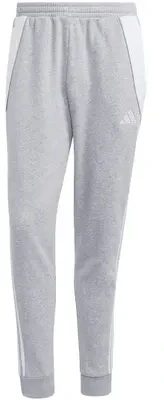 Kelnės vyrams adidas Tiro 24 Sweat pilka IS2153 L