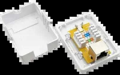Alantec A-LAN GN005 tinklo jungiamoji dėžutė Cat5e, balta