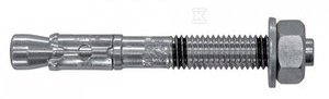 Ankerinis varžtas RawlPlug R-XPT-10065/5; 10x65 mm; 50 vnt.