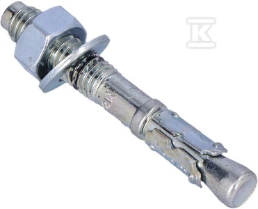 Ankerinis varžtas RawlPlug R-XPT-08060/10; 8x60 mm; 100 vnt.