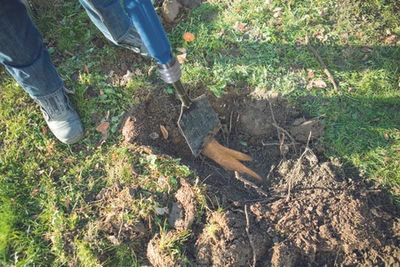 Daugiafunkcis pneumatinis įrankis AERO SPADE, Scheppach