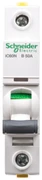 Schneider Electric grandinės pertraukiklis 1P B 50A 6kA AC iC60N-A9F03150