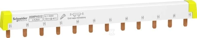 SCHNEIDER ELECTRIC ŠYNUO 3P 100A 12 POLIŲ