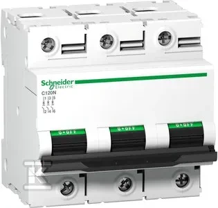 Schneider Electric Automatinis jungiklis 3P B 100A 6kA AC C120N (A9N18350)