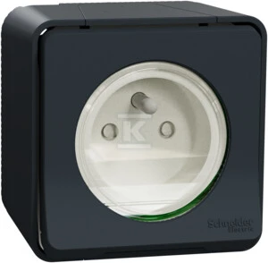 Schneider Electric Mureva Style 2P+PE antracito lizdas MUR35031