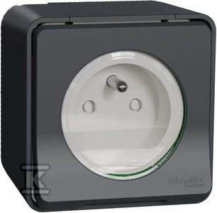 Schneider Electric Mureva Style 2P+PE antracito lizdas MUR35031