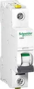 Schneider Electric grandinės pertraukiklis IC60N 1P 16A D - A9F05101