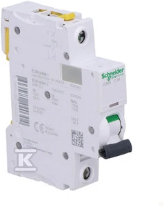 Schneider Electric miniatiūrinis grandinės pertraukiklis 1P C 2A 6kA AC iC60N - A9F04102