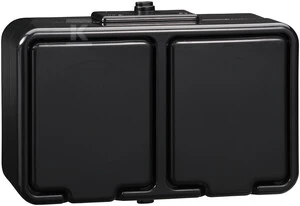 „Schneider Electric Cedar“ dvigubas hermetiškas lizdas su 16A IP44 juoda Nt-230H (NT230H05)